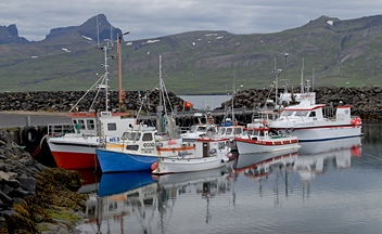 Víknaslóðir - Borgarfjörður: Bakkagerði