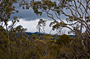 Kidman Trail: Adelaide Hills - by Martin